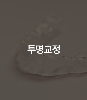 투명교정